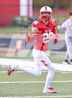 Photo from the gallery "Delta @ Mississinewa (IHSAA 3A Section 28 Semifinal)"
