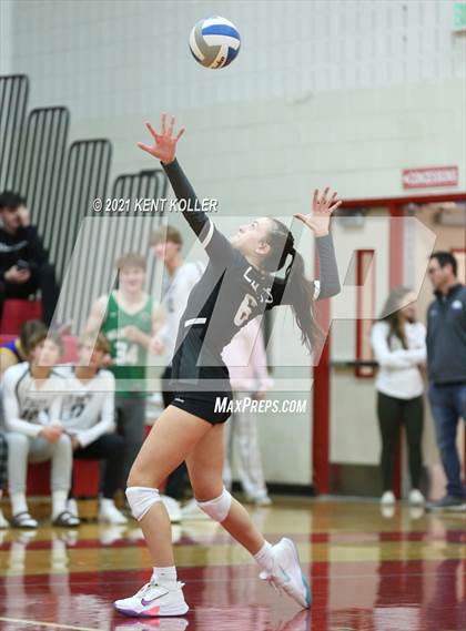 Thumbnail 1 in Dakota vs. Troy (MHSAA Regional Final) photogallery.