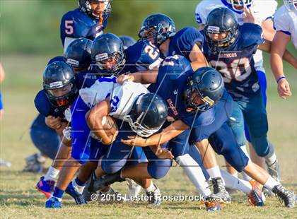Thumbnail 3 in Brandeis @ New Braunfels photogallery.