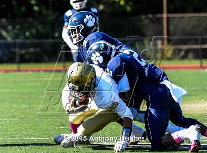 Thumbnail 2 in New Dorp @ Fort Hamilton photogallery.