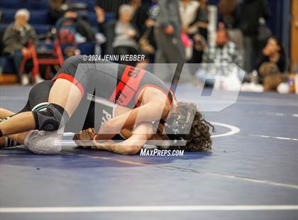 Thumbnail 1 in Palo Verde vs. Las Vegas (Spring Valley Duals Final Round 3) photogallery.