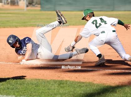 Thumbnail 1 in Cactus Shadows @ Horizon photogallery.