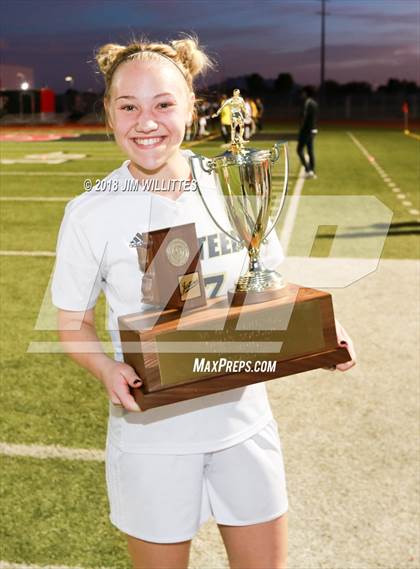 Thumbnail 3 in Casteel vs. Yuma Catholic (AIA 3A Final - Awards Photos) photogallery.