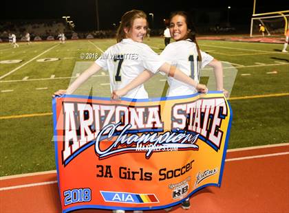 Thumbnail 1 in Casteel vs. Yuma Catholic (AIA 3A Final - Awards Photos) photogallery.