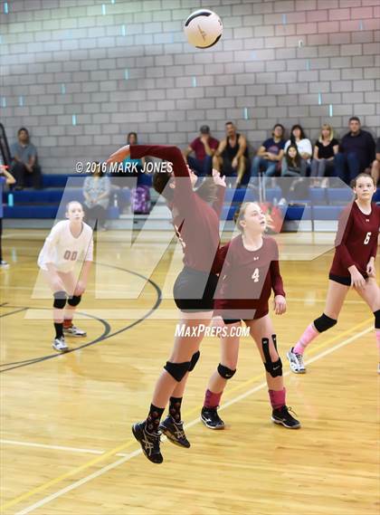Thumbnail 3 in Cicero Preparatory Academy @ Paradise Valley Christian Prep photogallery.