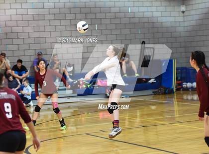 Thumbnail 3 in Cicero Preparatory Academy @ Paradise Valley Christian Prep photogallery.