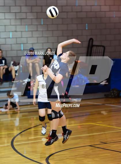 Thumbnail 3 in Cicero Preparatory Academy @ Paradise Valley Christian Prep photogallery.