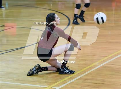 Thumbnail 3 in Cicero Preparatory Academy @ Paradise Valley Christian Prep photogallery.