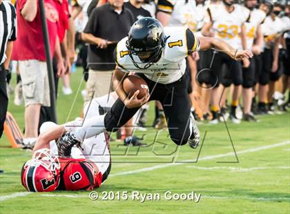 Thumbnail 1 in Prairie Grove @ Farmington photogallery.