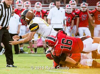 Thumbnail 2 in Prairie Grove @ Farmington photogallery.