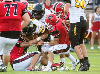 Thumbnail 3 in Prairie Grove @ Farmington photogallery.
