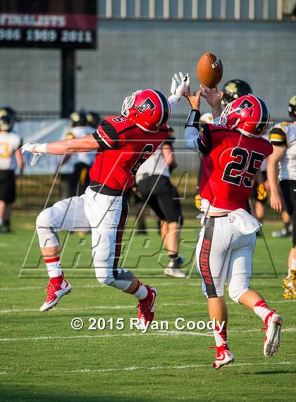 Thumbnail 2 in Prairie Grove @ Farmington photogallery.