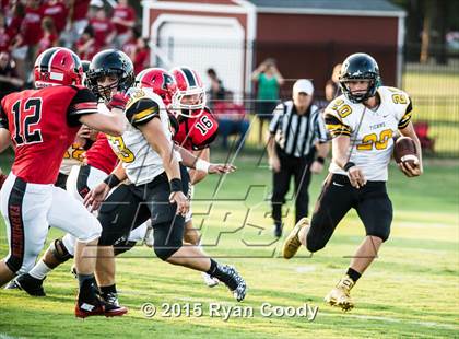 Thumbnail 3 in Prairie Grove @ Farmington photogallery.