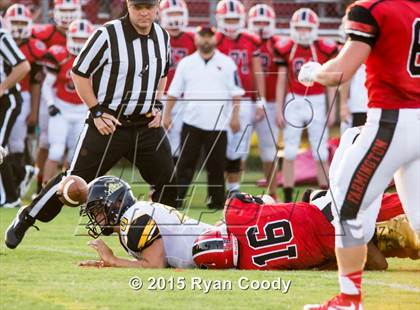Thumbnail 3 in Prairie Grove @ Farmington photogallery.