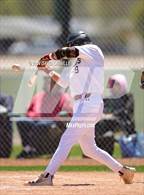 Photo from the gallery "Longmont @ Windsor"