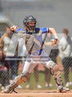 Photo from the gallery "Longmont @ Windsor"