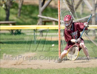 Thumbnail 3 in Prout @ Providence Country Day photogallery.