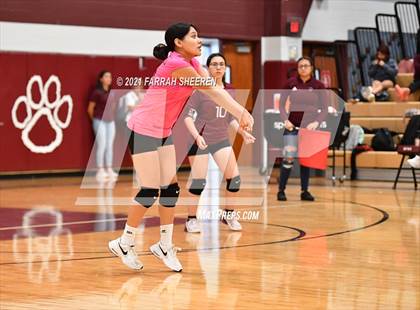 Thumbnail 1 in Northbrook @ Cy-Fair photogallery.