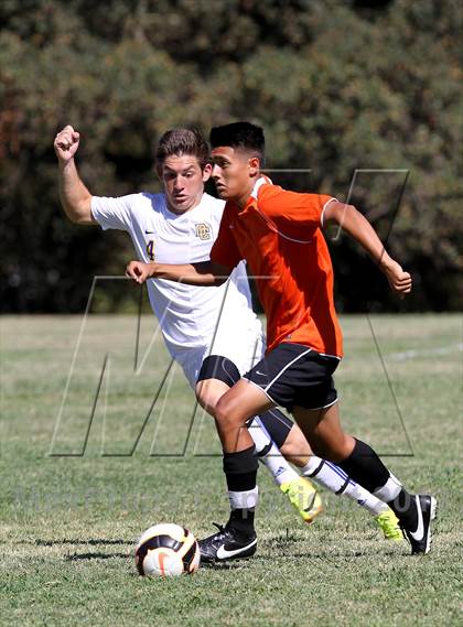 Thumbnail 1 in Roseville @ Del Campo photogallery.