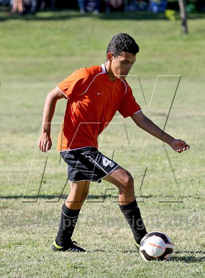 Thumbnail 1 in Roseville @ Del Campo photogallery.