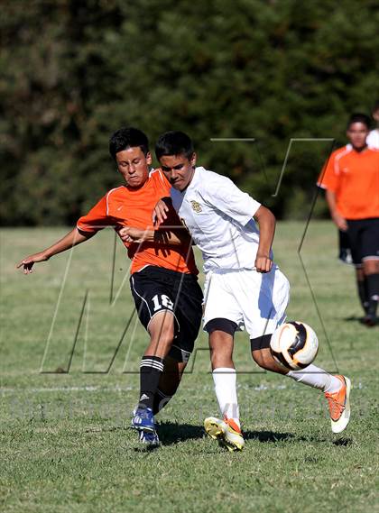 Thumbnail 1 in Roseville @ Del Campo photogallery.