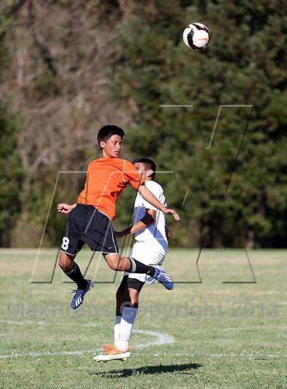 Thumbnail 3 in Roseville @ Del Campo photogallery.