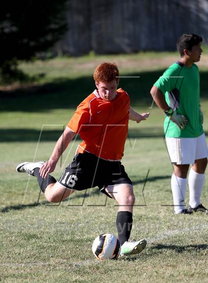 Thumbnail 1 in Roseville @ Del Campo photogallery.