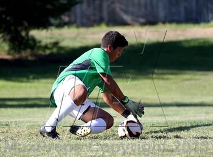 Thumbnail 3 in Roseville @ Del Campo photogallery.