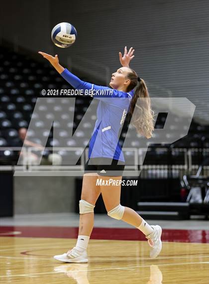 Thumbnail 1 in Fayetteville vs. Sulphur Bluff (UIL Volleyball 1A Semi-Finals) photogallery.
