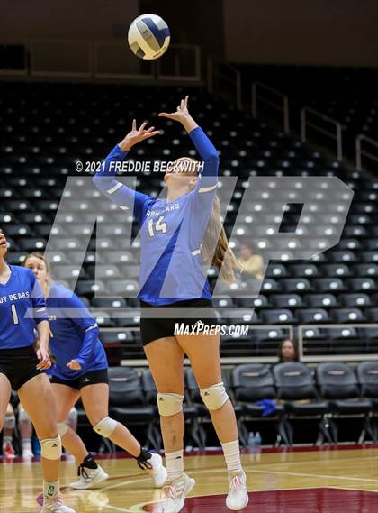 Thumbnail 2 in Fayetteville vs. Sulphur Bluff (UIL Volleyball 1A Semi-Finals) photogallery.