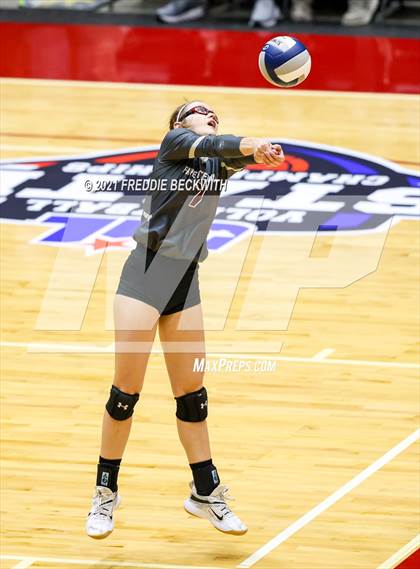 Thumbnail 2 in Fayetteville vs. Sulphur Bluff (UIL Volleyball 1A Semi-Finals) photogallery.