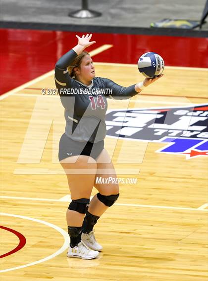 Thumbnail 1 in Fayetteville vs. Sulphur Bluff (UIL Volleyball 1A Semi-Finals) photogallery.