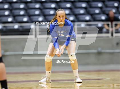 Thumbnail 3 in Fayetteville vs. Sulphur Bluff (UIL Volleyball 1A Semi-Finals) photogallery.