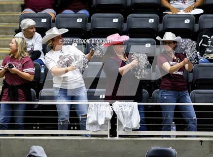 Thumbnail 3 in Fayetteville vs. Sulphur Bluff (UIL Volleyball 1A Semi-Finals) photogallery.