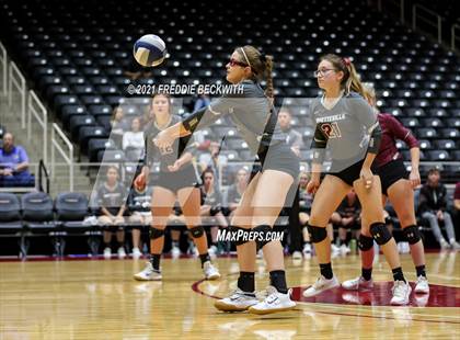 Thumbnail 2 in Fayetteville vs. Sulphur Bluff (UIL Volleyball 1A Semi-Finals) photogallery.