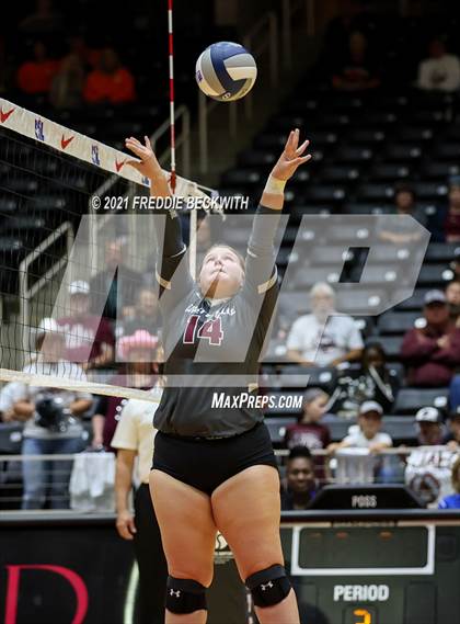Thumbnail 2 in Fayetteville vs. Sulphur Bluff (UIL Volleyball 1A Semi-Finals) photogallery.