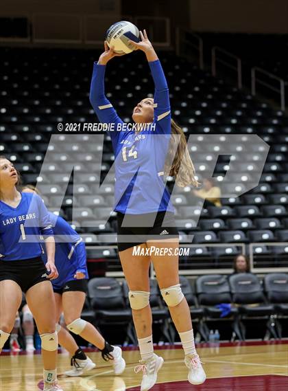 Thumbnail 3 in Fayetteville vs. Sulphur Bluff (UIL Volleyball 1A Semi-Finals) photogallery.
