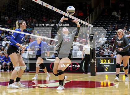 Thumbnail 3 in Fayetteville vs. Sulphur Bluff (UIL Volleyball 1A Semi-Finals) photogallery.