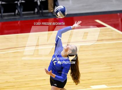 Thumbnail 3 in Fayetteville vs. Sulphur Bluff (UIL Volleyball 1A Semi-Finals) photogallery.