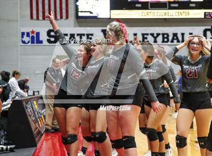 Thumbnail 2 in Fayetteville vs. Sulphur Bluff (UIL Volleyball 1A Semi-Finals) photogallery.