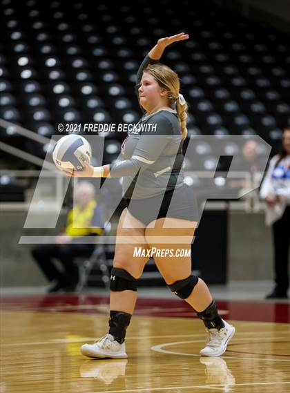 Thumbnail 3 in Fayetteville vs. Sulphur Bluff (UIL Volleyball 1A Semi-Finals) photogallery.