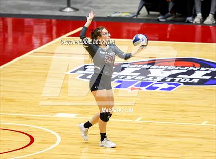 Thumbnail 3 in Fayetteville vs. Sulphur Bluff (UIL Volleyball 1A Semi-Finals) photogallery.