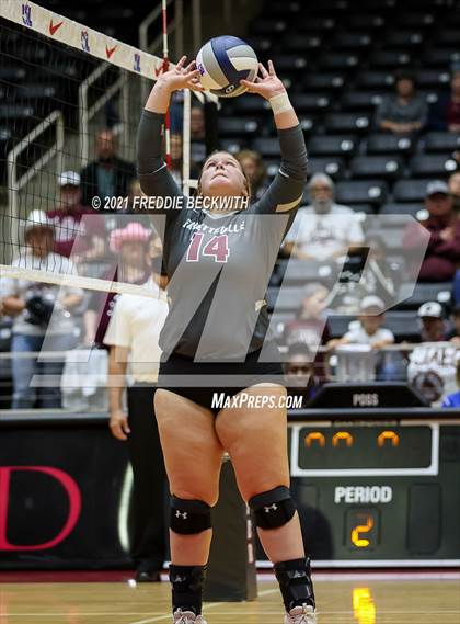 Thumbnail 1 in Fayetteville vs. Sulphur Bluff (UIL Volleyball 1A Semi-Finals) photogallery.
