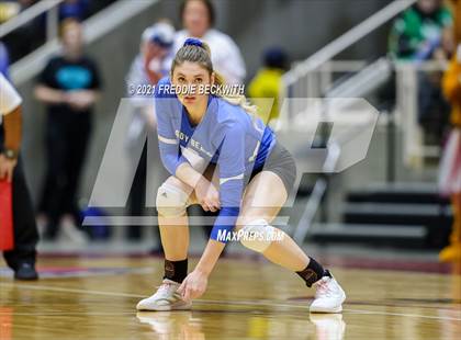 Thumbnail 2 in Fayetteville vs. Sulphur Bluff (UIL Volleyball 1A Semi-Finals) photogallery.