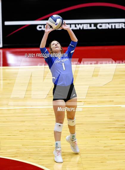 Thumbnail 1 in Fayetteville vs. Sulphur Bluff (UIL Volleyball 1A Semi-Finals) photogallery.