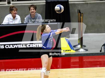 Thumbnail 1 in Fayetteville vs. Sulphur Bluff (UIL Volleyball 1A Semi-Finals) photogallery.