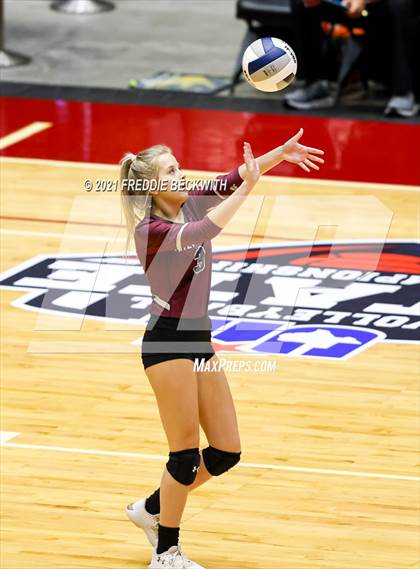 Thumbnail 2 in Fayetteville vs. Sulphur Bluff (UIL Volleyball 1A Semi-Finals) photogallery.
