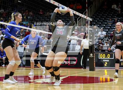 Thumbnail 1 in Fayetteville vs. Sulphur Bluff (UIL Volleyball 1A Semi-Finals) photogallery.