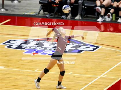 Thumbnail 3 in Fayetteville vs. Sulphur Bluff (UIL Volleyball 1A Semi-Finals) photogallery.