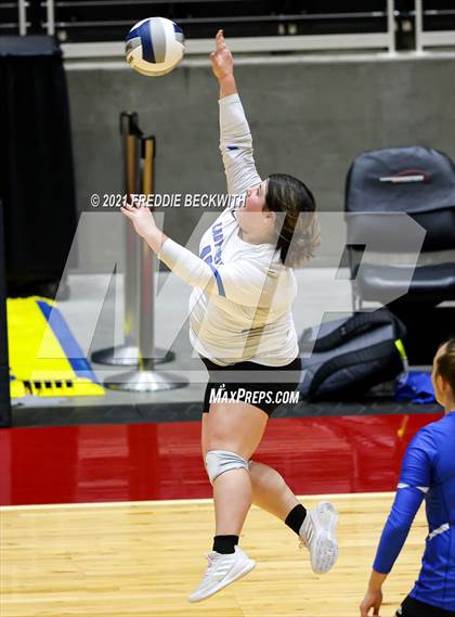 Thumbnail 1 in Fayetteville vs. Sulphur Bluff (UIL Volleyball 1A Semi-Finals) photogallery.